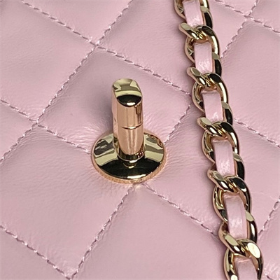 Chanel FLAP PHONE HOLDER WITH CHAIN Lambskin Gold-Tone Metal Pink AP4592