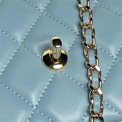 Chanel FLAP PHONE HOLDER WITH CHAIN Lambskin Gold-Tone Metal Blue AP4592