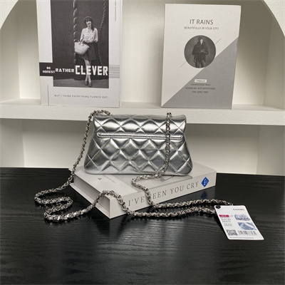 Chanel FLAP PHONE HOLDER WITH CHAIN Lambskin Sivler-Tone Metal Silver AP4592