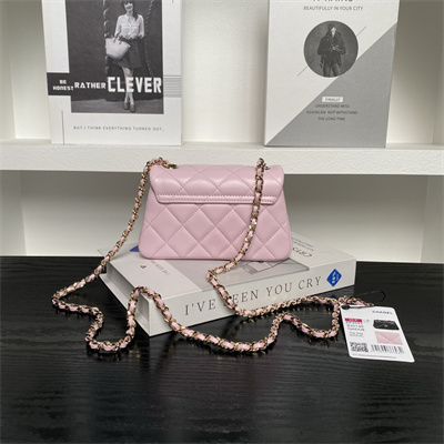 Chanel Mini FLAP PHONE HOLDER WITH CHAIN Lambskin Gold-Tone Metal Pink AP4593