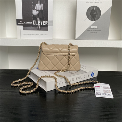 Chanel Mini FLAP PHONE HOLDER WITH CHAIN Lambskin Gold-Tone Metal Beige AP4593