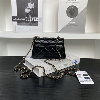 Chanel Mini FLAP PHONE HOLDER WITH CHAIN Lambskin Gold-Tone Metal Black AP4593