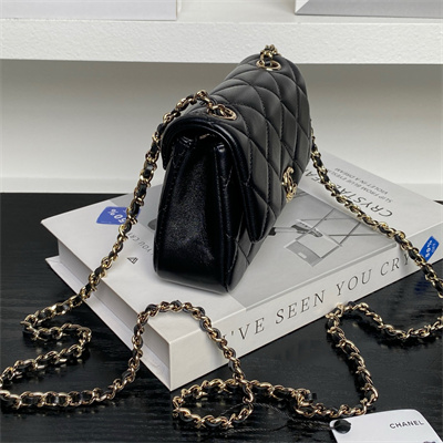 Chanel Mini FLAP PHONE HOLDER WITH CHAIN Lambskin Gold-Tone Metal Black AP4593