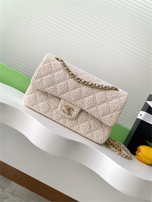 Cha.nel Medium Classic Flap Bag With Pearl Gold Tone Metal AS1112