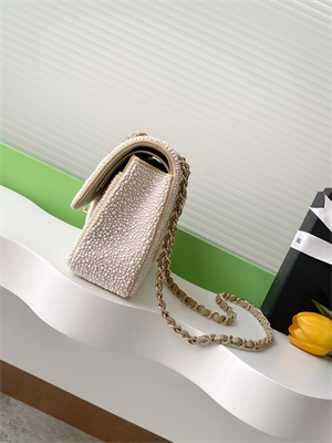 Cha.nel Medium Classic Flap Bag With Pearl Gold Tone Metal AS1112