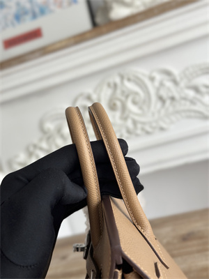 Bir.kin Sellier Bag Epsom Leather 25/30/35CM Gold Hardware In Chai Color HS