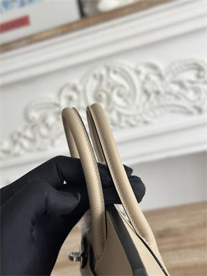 Bir.kin Sellier Bag Epsom Leather 25/30/35CM Gold Hardware In Trench Color HS