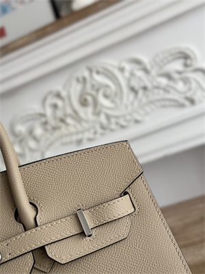 Bir.kin Sellier Bag Epsom Leather 25/30/35CM Gold Hardware In Trench Color HS