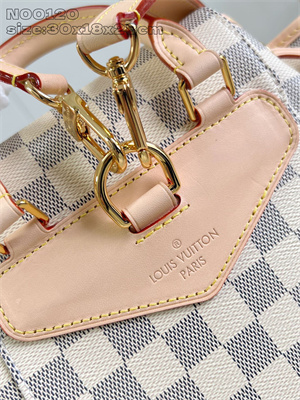 LV Montsouris PM Backpack Damier Azur Canvas N00120