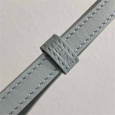 Celine Mini Bucket Louise IN Smooth Calfskin Ice Blue Color