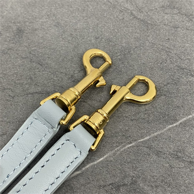 Celine Mini Bucket Louise IN Smooth Calfskin Ice Blue Color