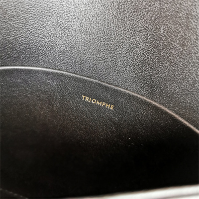 Celine Teen Triomphe Bag In Shiny Calfskin All Black Color