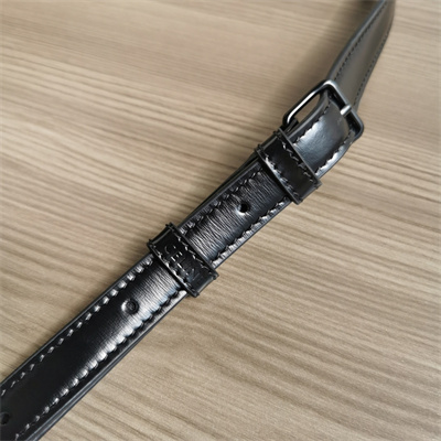 Celine Teen Triomphe Bag In Shiny Calfskin All Black Color