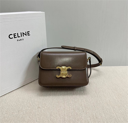 Celine Teen Triomphe Bag In Shiny Calfskin Dk Brown Color
