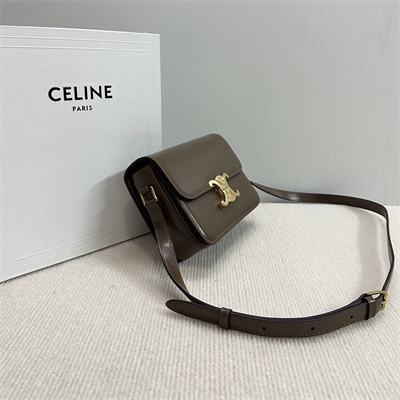 Celine Teen Triomphe Bag In Shiny Calfskin Dk Brown Color