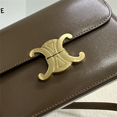 Celine Teen Triomphe Bag In Shiny Calfskin Dk Brown Color