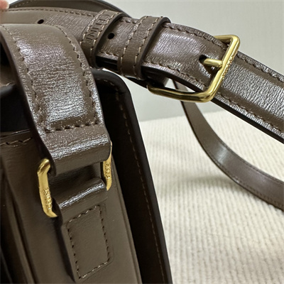 Celine Teen Triomphe Bag In Shiny Calfskin Dk Brown Color