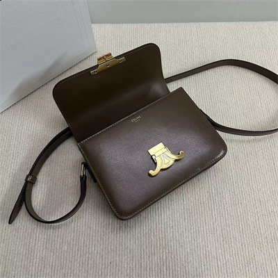 Celine Teen Triomphe Bag In Shiny Calfskin Dk Brown Color