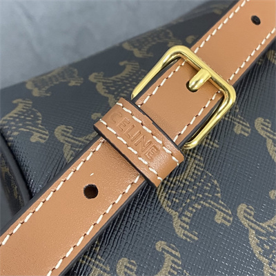 Celine Backpack Bonnie In Triomphe Canvas and calfskin Tan