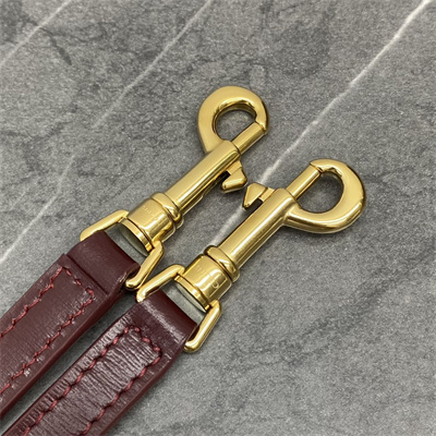 Celine TEEN LOLA in shiny calfskin Bordeaux Color