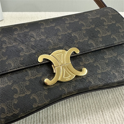 Celine Medium LOLA In Triomphe Canvas and Calfskin Tan