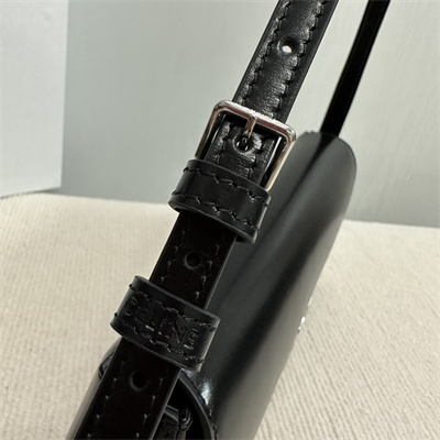 Celine Medium LOLA In Shinny Calfskin Black