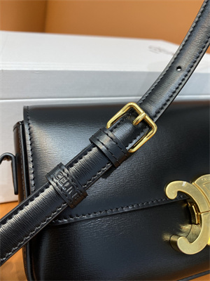 Celine Triomphe Shoulder Bag In Shiny Calfskin Black Color