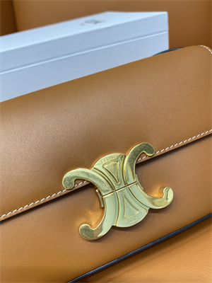 Celine Triomphe Shoulder Bag In Shiny Calfskin Brown Color