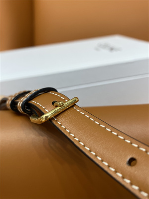 Celine Triomphe Shoulder Bag In Shiny Calfskin Brown Color