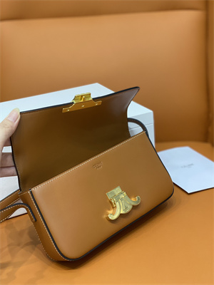 Celine Triomphe Shoulder Bag In Shiny Calfskin Brown Color