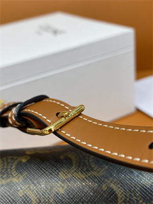 Celine Triomphe Shoulder Bag IN TRIOMPHE CANVAS AND CALFSKIN Tan