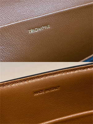 Celine Triomphe Shoulder Bag IN TRIOMPHE CANVAS AND CALFSKIN Tan