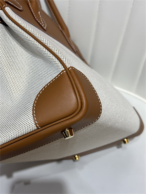 Bir.kin Bag Swift Leather & Canvas 25/30 Gold/Silver Hardware In Gold HS