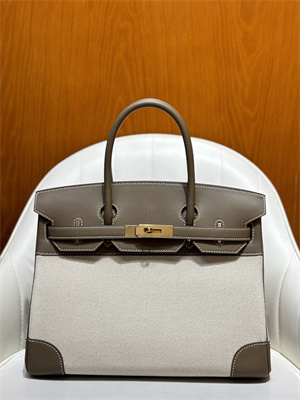 Bir.kin Bag Swift Leather & Canvas 25/30 Gold/Silver Hardware In Etoupe HS