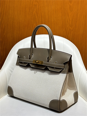 Bir.kin Bag Swift Leather & Canvas 25/30 Gold/Silver Hardware In Etoupe HS