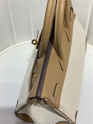 Bir.kin Bag Swift Leather & Canvas 25/30 Gold/Silver Hardware In Chai HS