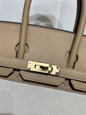 Bir.kin Bag Swift Leather & Canvas 25/30 Gold/Silver Hardware In Chai HS