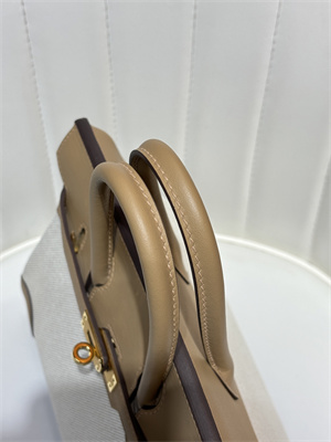 Bir.kin Bag Swift Leather & Canvas 25/30 Gold/Silver Hardware In Chai HS