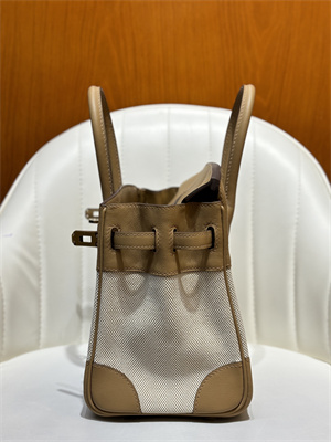 Bir.kin Bag Swift Leather & Canvas 25/30 Gold/Silver Hardware In Chai HS