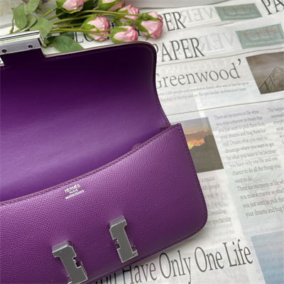 Constance Elan Epsom Leather  Gold/Silver Tone Hardware Anemone Color HS(With Mirror)