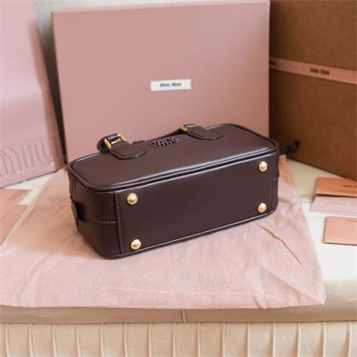 MiuMiu Arcadie Leather Top handle bag Briarwood Color