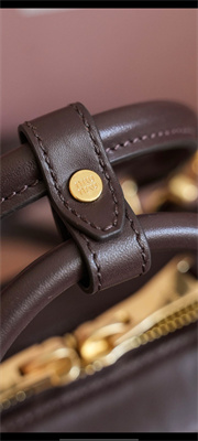 MiuMiu Arcadie Leather Top handle bag Briarwood Color