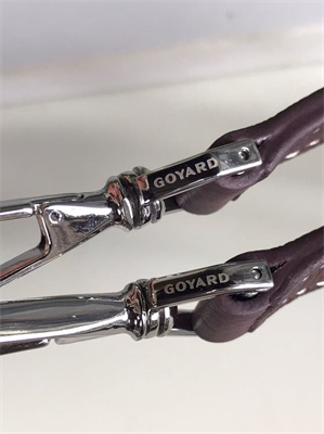 Goyard Alpin Mini Backpack Goyardine Canvas & Chevroches Calfskin Burgundy