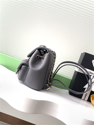 Cha.nel Duma Backpack Grained Calfskin Gold Tone Metal Grey AS3860