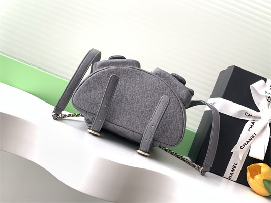 Cha.nel Duma Backpack Grained Calfskin Gold Tone Metal Grey AS3860