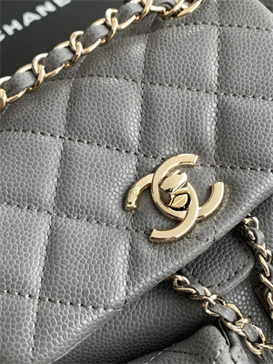 Cha.nel Duma Backpack Grained Calfskin Gold Tone Metal Grey AS3860