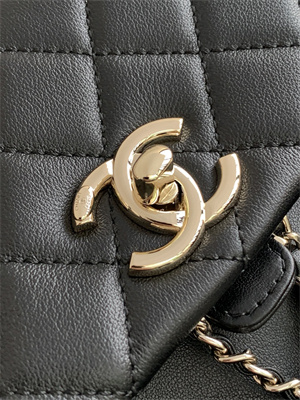 Cha.nel Duma Backpack Smooth Calfskin Gold Tone Metal Black AS3860