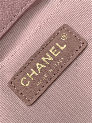 Cha.nel Duma Backpack Grained Calfskin Gold Tone Metal Lt Pink AS3860