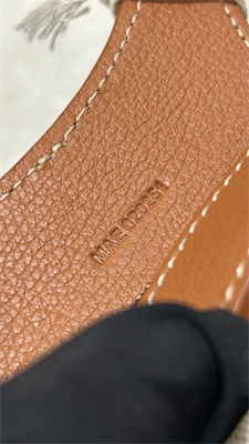 Goyard Beluga Mini Bag Goyardine Canvas & Chevroches Calfskin Black &Tan