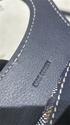 Goyard Beluga Mini Bag Goyardine Canvas & Chevroches Calfskin Navy Blue